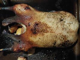 Goose bird baked in the oven for Christmas photo