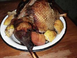 ganso pájaro horneado en el horno para Navidad foto