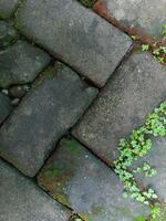 Abstract background of paving block road photo