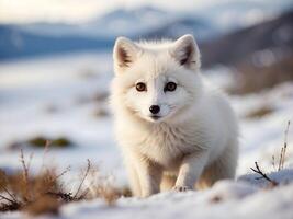 AI generated Portrait of cute little baby white arctic fox in the snow, animal background, wallpaper photo