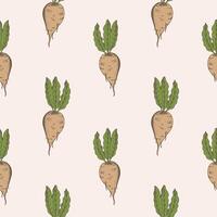 Sugar beet seamless pattern hand drawn vector illustration Repeating background with sweet root plants engraved vegetables for print, card, design, textile. Agriculture, food, beetroot harvesting