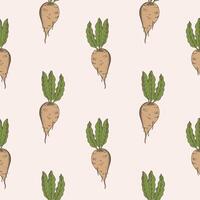 Sugar beet seamless pattern hand drawn vector illustration Repeating background with sweet root plants engraved vegetables for print, card, design, textile. Agriculture, food, beetroot harvesting