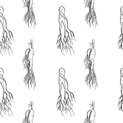 Ginseng root medicinal plant seamless pattern hand drawn sketch repeating background with engraved roots vector illustration.Botanical East herb Ingredient design for food, tea alternative, medicine