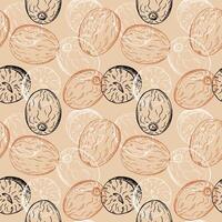 Nutmeg sketch seamless pattern engraved hand drawn vector illustration repeating background with nuts. Backdrop Mace plant, spicy nut design rapport for cooking, medicine, perfumery for textile, print