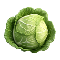 AI generated 3D Rendering of a Green Cabbage on Transparent Background - Ai Generated png