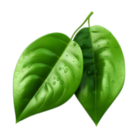 AI generated Green Leaf on Transparent background - Ai Generated png