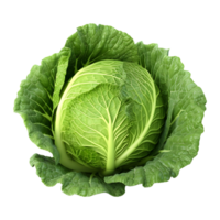 AI generated 3D Rendering of a Green Cabbage on Transparent Background - Ai Generated png