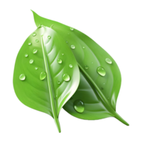 AI generated Green Leaf on Transparent background - Ai Generated png