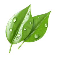 AI generated Green Leaf on Transparent background - Ai Generated png