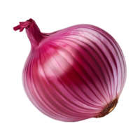 AI generated Onions on Transparent background - Ai Generated png