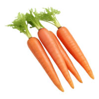 AI generated Orange Carrots on Transparent background - Ai Generated png