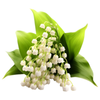 AI generated Boutique of the Lilies Flowers on Transparent background - Ai Generated png