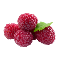 AI generated Raspberry on Transparent background - Ai Generated png