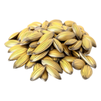 AI generated Sunflower Beans or Beach on Transparent background - Ai Generated png