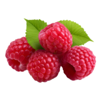 AI generated Raspberry on Transparent background - Ai Generated png