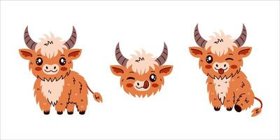 Highland Cattle Cow set vector