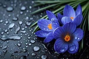 AI generated Spring flowers of blue crocuses in drops of water on the background of tracks of rain drops. photo