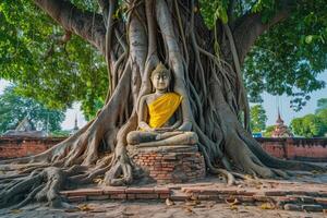 AI generated Ancient buddha statue under big tree. photo
