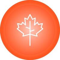 Maple leaf Vector Icon