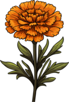 AI generated Cute marigold in cartoon style png