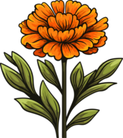 ai generato carino calendula nel cartone animato stile png