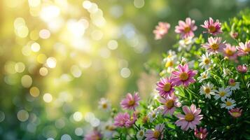 AI generated spring advertisment natural nackground with flowers, bokeh lights and copy space photo