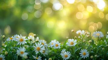 AI generated spring advertisment natural nackground with flowers, bokeh lights and copy space photo
