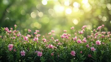 AI generated spring advertisment natural nackground with flowers, bokeh lights and copy space photo