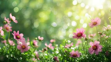 AI generated spring advertisment natural nackground with flowers, bokeh lights and copy space photo