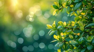 AI generated spring advertisment natural nackground with clower leaves, gold coins, bokeh lights and copy space photo