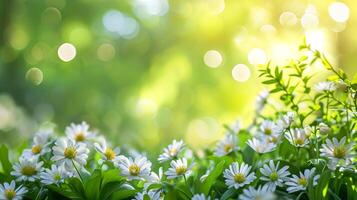 AI generated spring advertisment natural nackground with flowers, bokeh lights and copy space photo