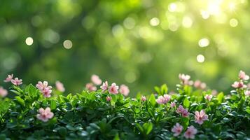 AI generated spring advertisment natural nackground with flowers, bokeh lights and copy space photo