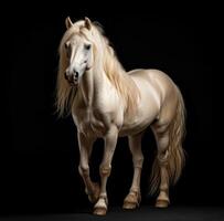 ai generado un blanco caballo con largo pelo en pie en frente de un negro antecedentes foto