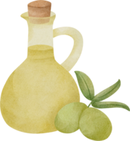 aceite de oliva acuarela png