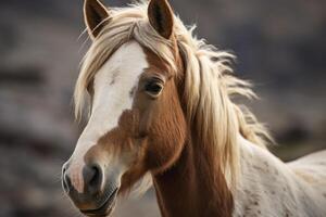 ai generado un caballo vestido arriba foto