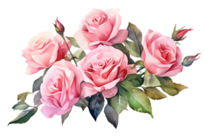 ai généré aquarelle main La peinture style une bouquet de Rose fleurs isolé. coupure chemin inclus. png