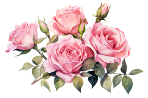 ai généré aquarelle main La peinture style une bouquet de Rose fleurs isolé. coupure chemin inclus. png