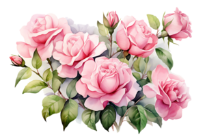 AI generated watercolor hand painting style a bunch of rose flowers isolated. Clipping path included. png