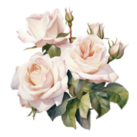 AI generated watercolor hand painting style a bunch of rose flowers isolated. Clipping path included. png