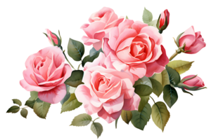 AI generated watercolor hand painting style a bunch of rose flowers isolated. Clipping path included. png