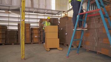 vente au détail entrepôt plein de étagères avec des biens dans papier carton des boites, produit livraison. chariot élévateur travail dans logistique entrepôt. video