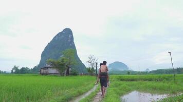 asiático niños más viejo hermano abrazos mas joven hermano Vamos espalda hogar. en verde montaña antecedentes en un campo Laos. video