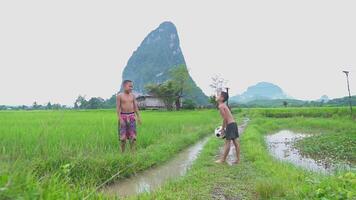 zwei Kinder genießen mit Fußball im Grün Berg Hintergrund im ein Landschaft Laos. video