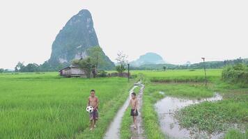 dos niños disfrutando con fútbol americano en verde montaña antecedentes en un campo Laos. video