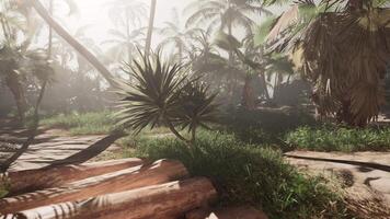 A screenshot of a jungle with palm trees video
