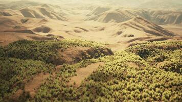 il roccioso paesaggio di il californiano mojave deserto con verde arbusti video