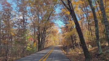 Driving on The Road During Beautiful Peak Autumn Fall Foliage Vibrant Colors Trees Leaves Arkansas Scenic Countryside video