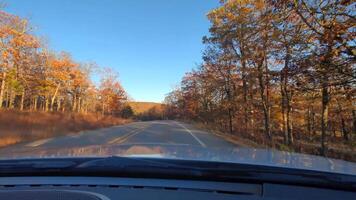 körning på de väg under skön topp höst falla lövverk vibrerande färger träd löv Arkansas naturskön landsbygden video