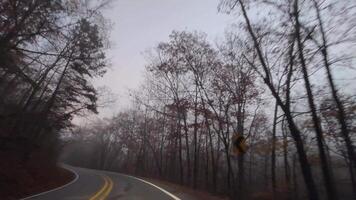 dirigindo em a estrada durante lindo pico outono outono folhagem vibrante cores árvores folhas Arkansas cênico campo video