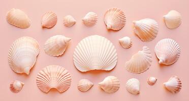 AI generated shells in a pink color background photo